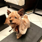 Plush Christmas Reindeer Dog Cape - Dapper Weenie Co