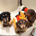 Plush Hot Dog Pet Costume - Dapper Weenie Co