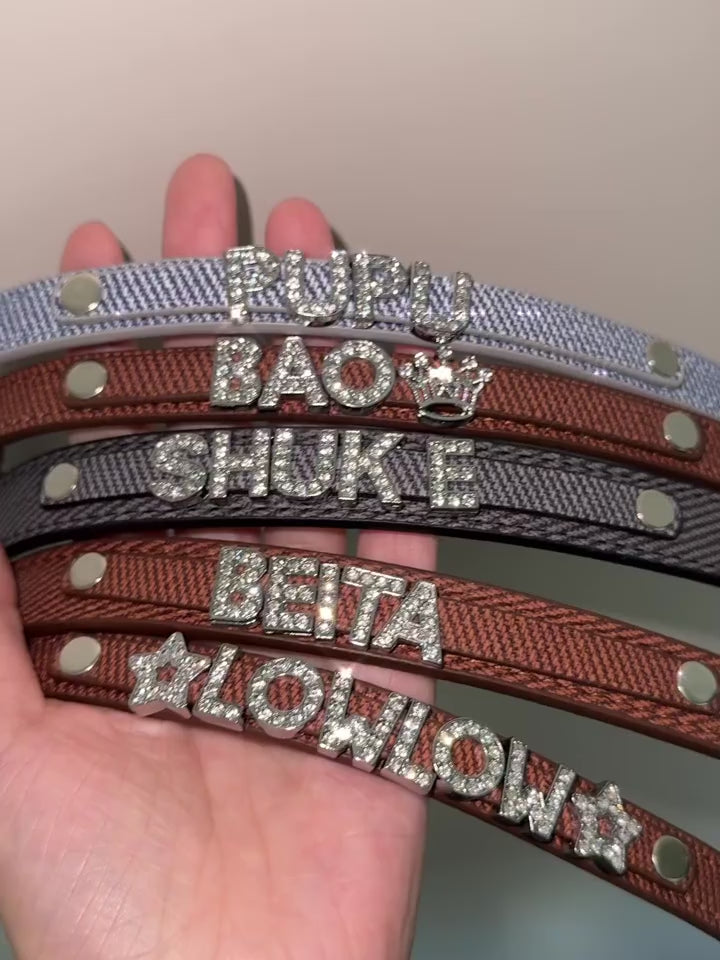 Collana con nome personalizzabile a forma di bassotto | Collare personalizzato a maglie piatte in oro | Gioielli su misura per l'identità dell'animale domestico