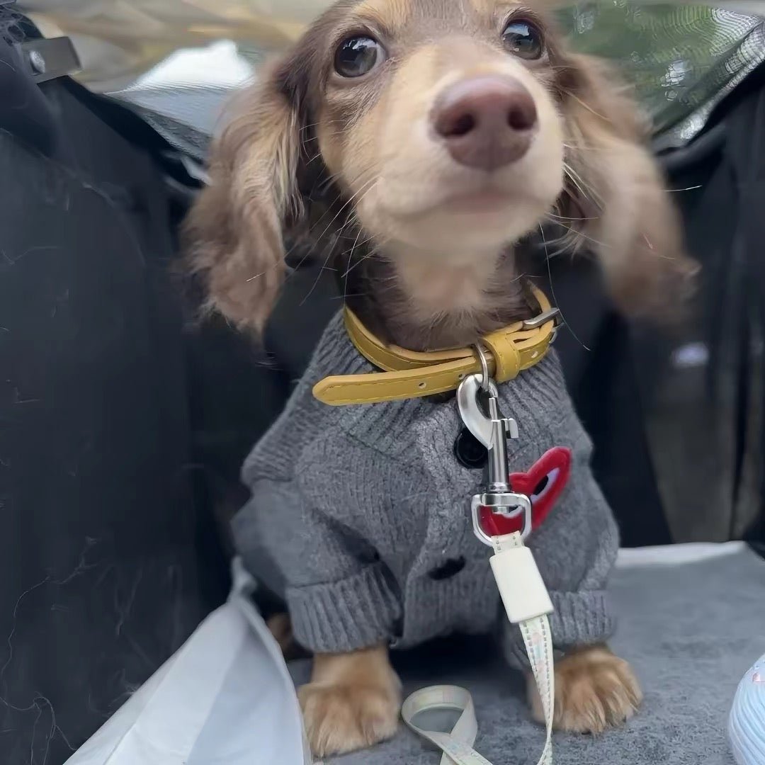 Red Heart Grey Knit Dog Cardigan Sweater - Dapper Weenie Co