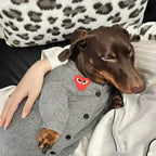 Red Heart Grey Knit Dog Cardigan Sweater - Dapper Weenie Co