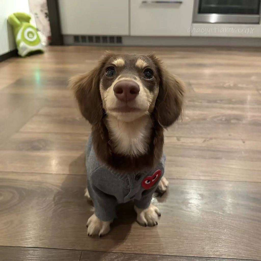 Red Heart Grey Knit Dog Cardigan Sweater - Dapper Weenie Co