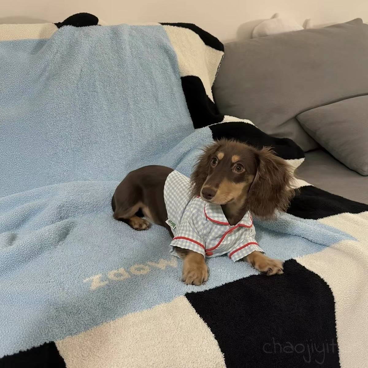 Retro Baby Blue Plaid Dog Pajamas - Dapper Weenie Co