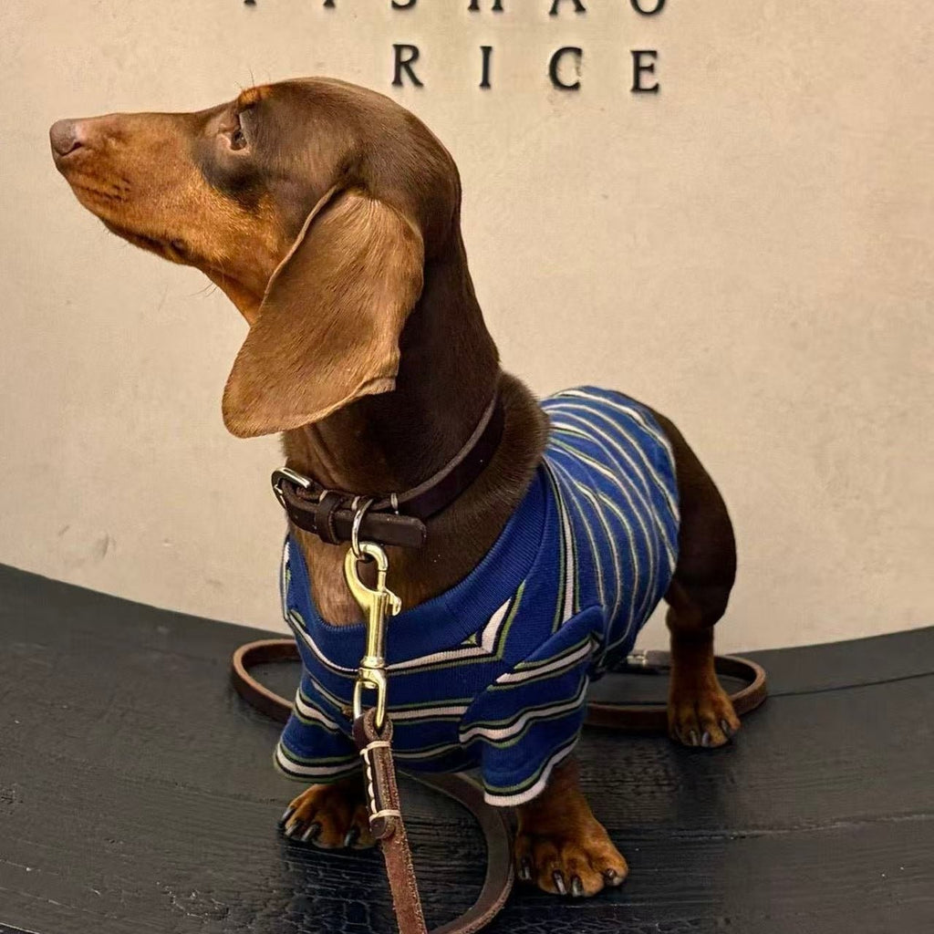 Retro Preppy Striped Dog Shirt - Dapper Weenie Co