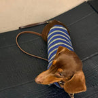 Retro Preppy Striped Dog Shirt - Dapper Weenie Co