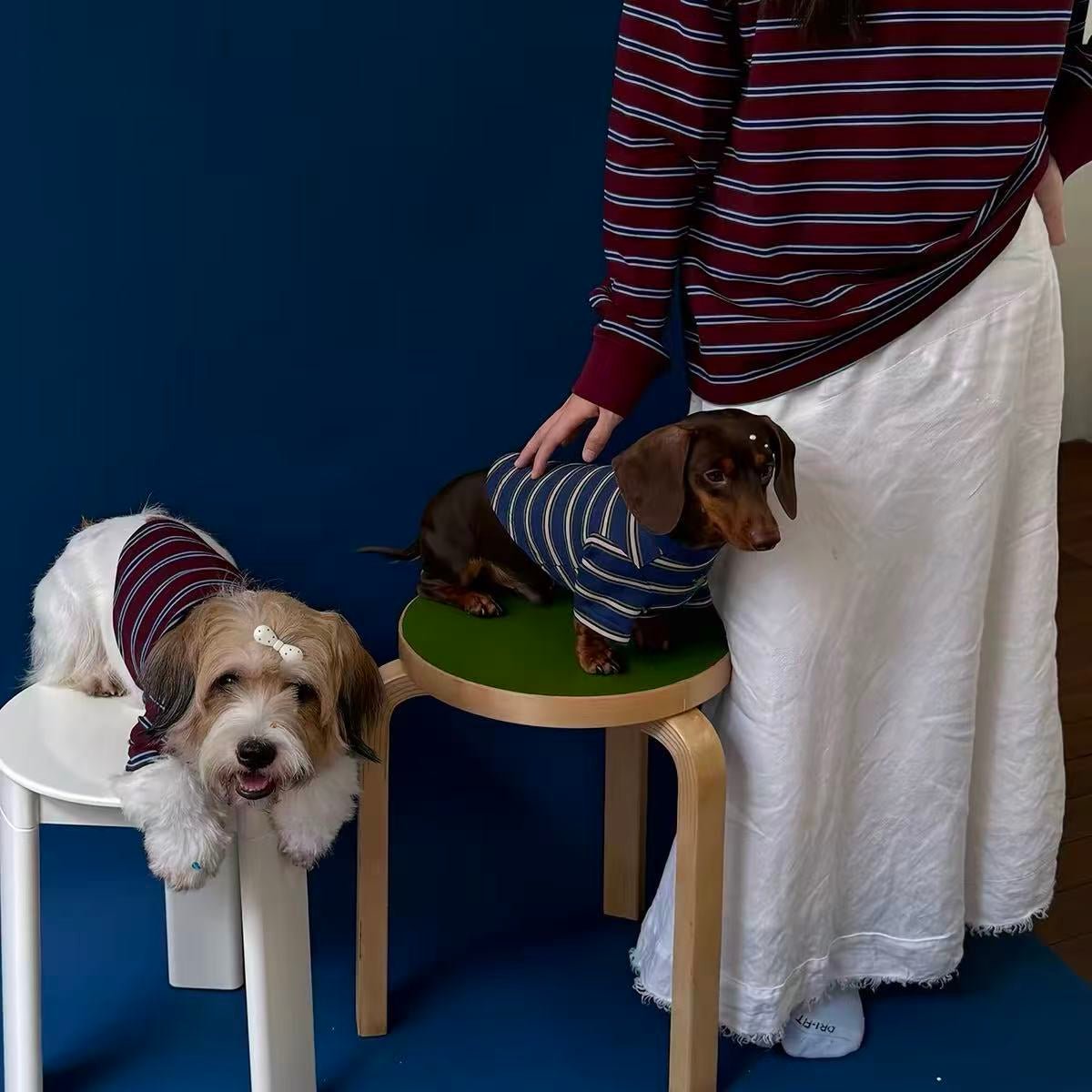 Retro Preppy Striped Dog Shirt - Dapper Weenie Co