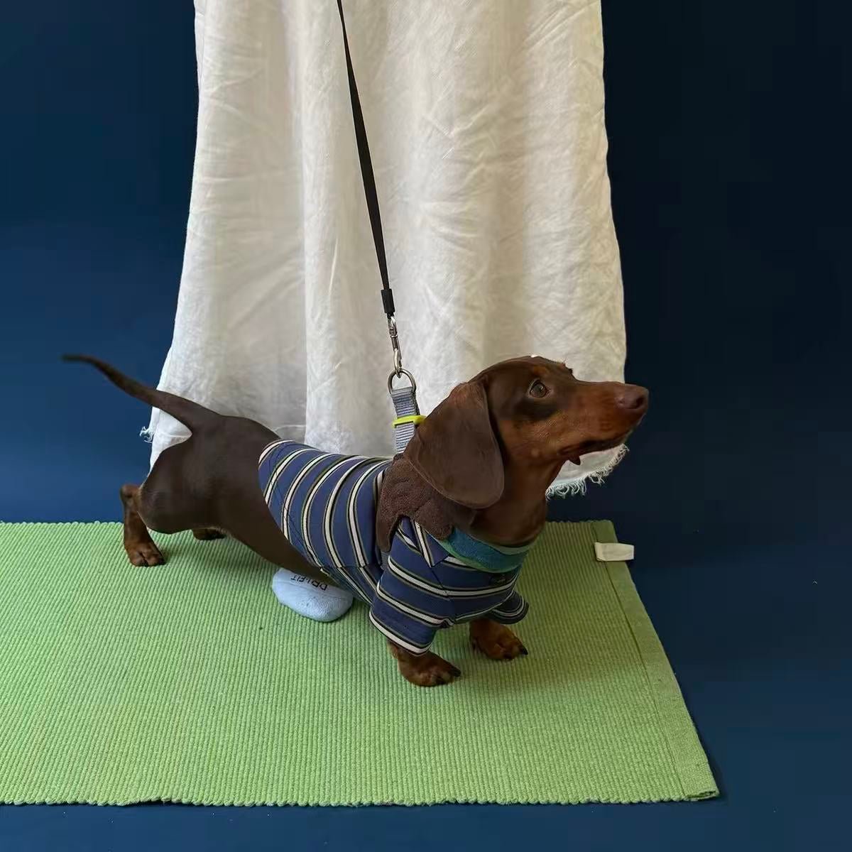 Retro Preppy Striped Dog Shirt - Dapper Weenie Co