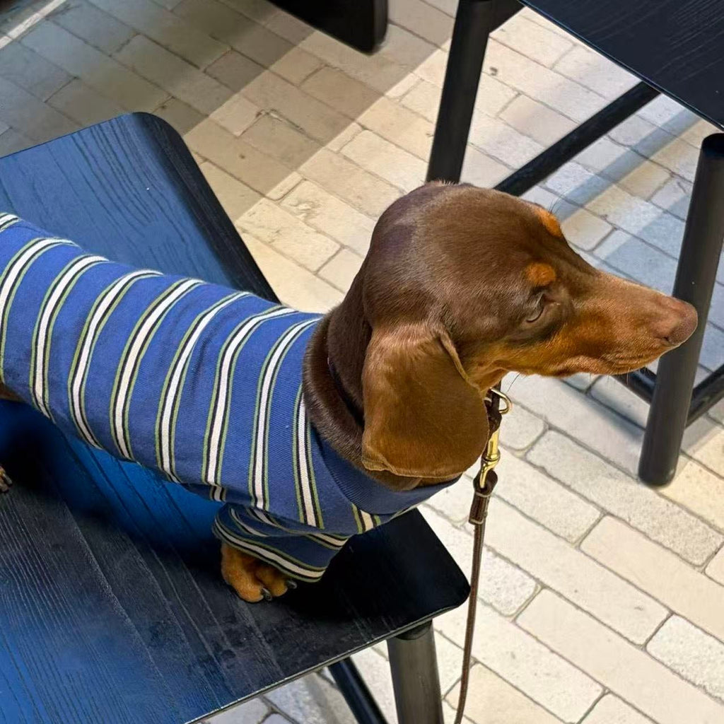 Retro Preppy Striped Dog Shirt - Dapper Weenie Co