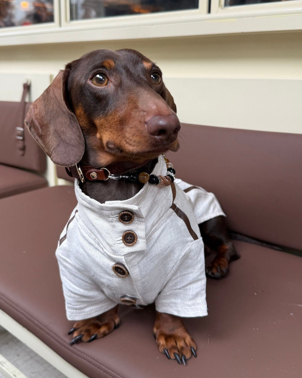 The City Boy Linen Utility Shirt - Dapper Weenie Co