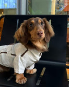 The City Boy Linen Utility Shirt - Dapper Weenie Co
