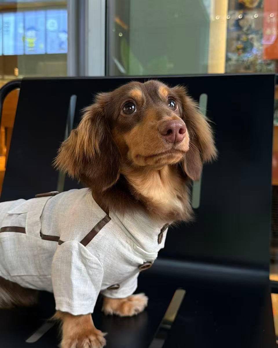 The City Boy Linen Utility Shirt - Dapper Weenie Co