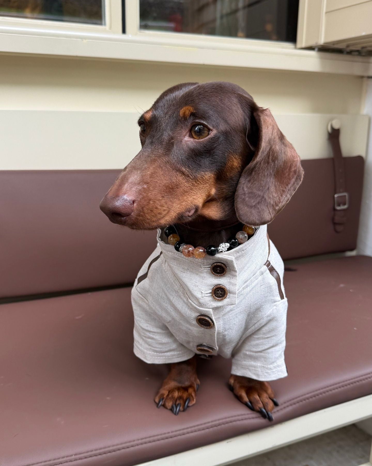 The City Boy Linen Utility Shirt - Dapper Weenie Co