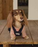 The City Boy Utility Overalls - Dapper Weenie Co