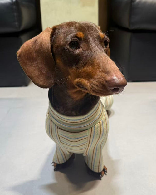 The Cozy Stripe Thermal Onesie - Dapper Weenie Co