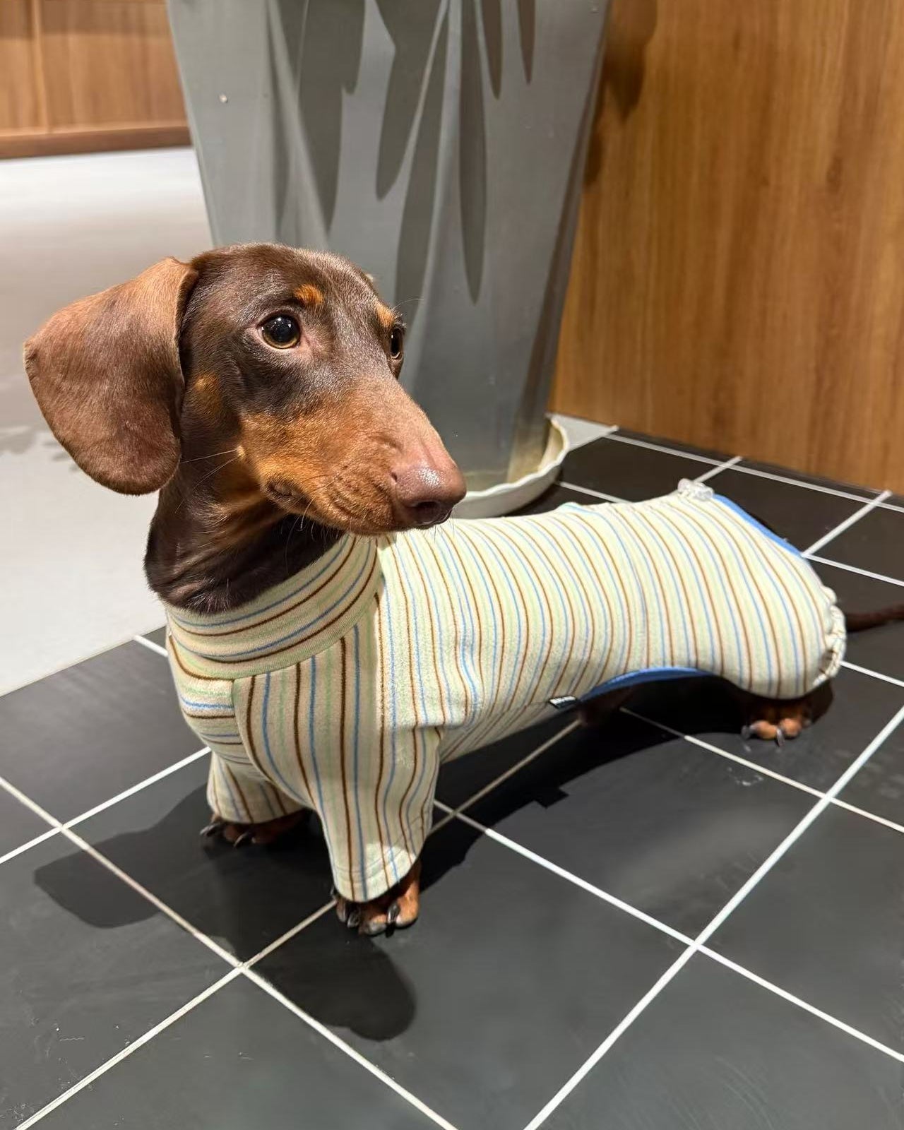 The Cozy Stripe Thermal Onesie - Dapper Weenie Co