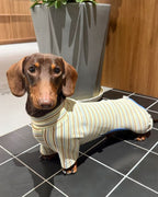 The Cozy Stripe Thermal Onesie - Dapper Weenie Co