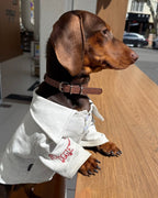 The Doggie Embroidered Collar Sweatshirt - Dapper Weenie Co