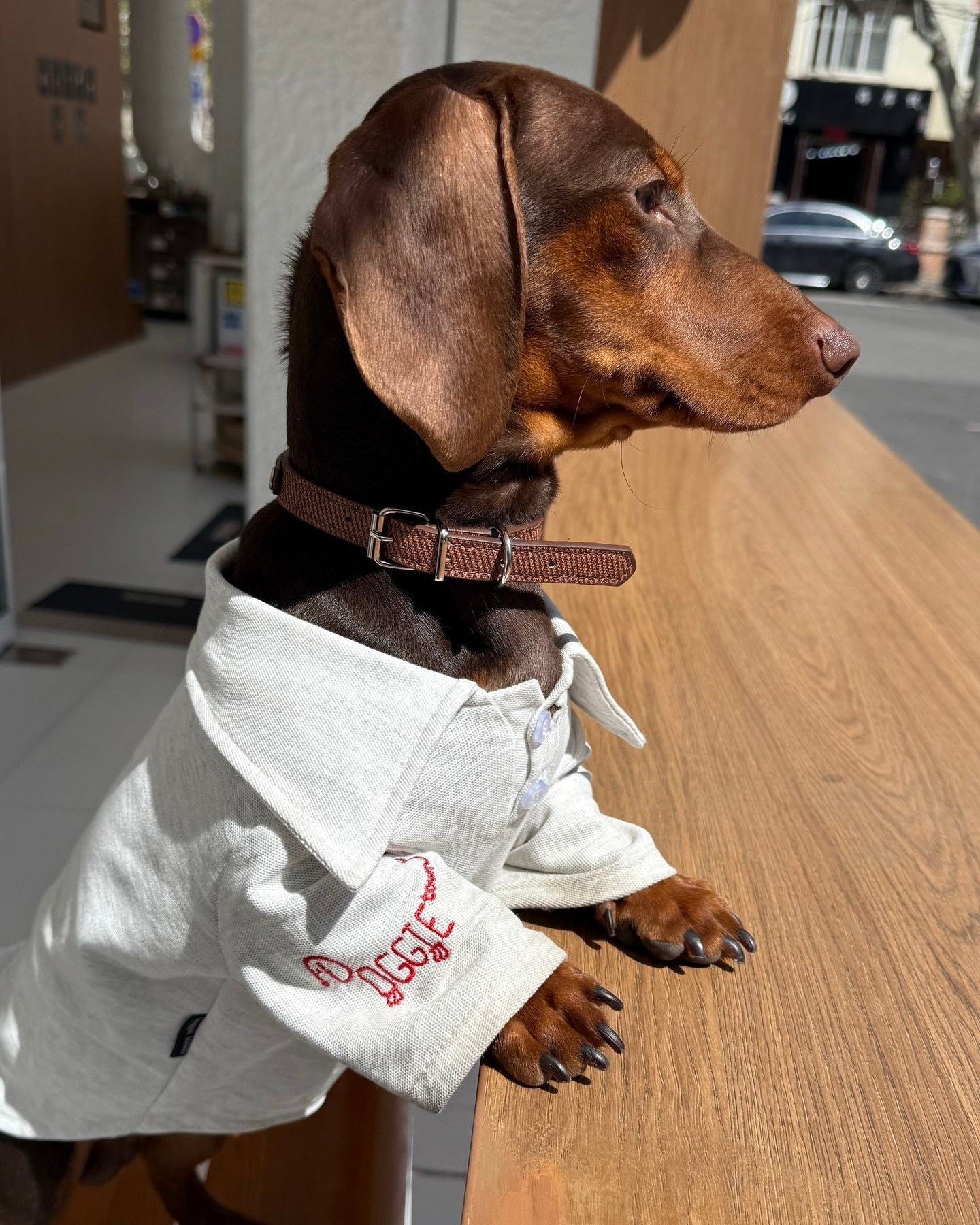 The Doggie Embroidered Collar Sweatshirt - Dapper Weenie Co
