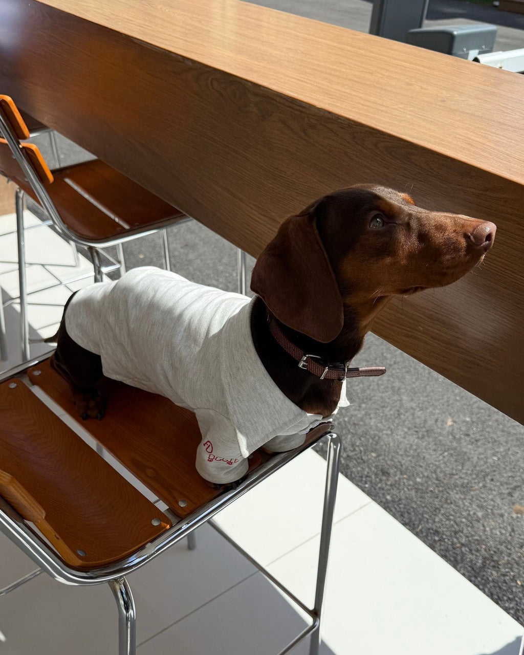 The Doggie Embroidered Collar Sweatshirt - Dapper Weenie Co
