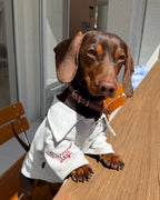 The Doggie Embroidered Collar Sweatshirt - Dapper Weenie Co