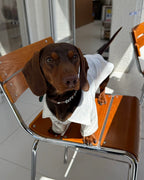 The Doggie Embroidered Collar Sweatshirt - Dapper Weenie Co