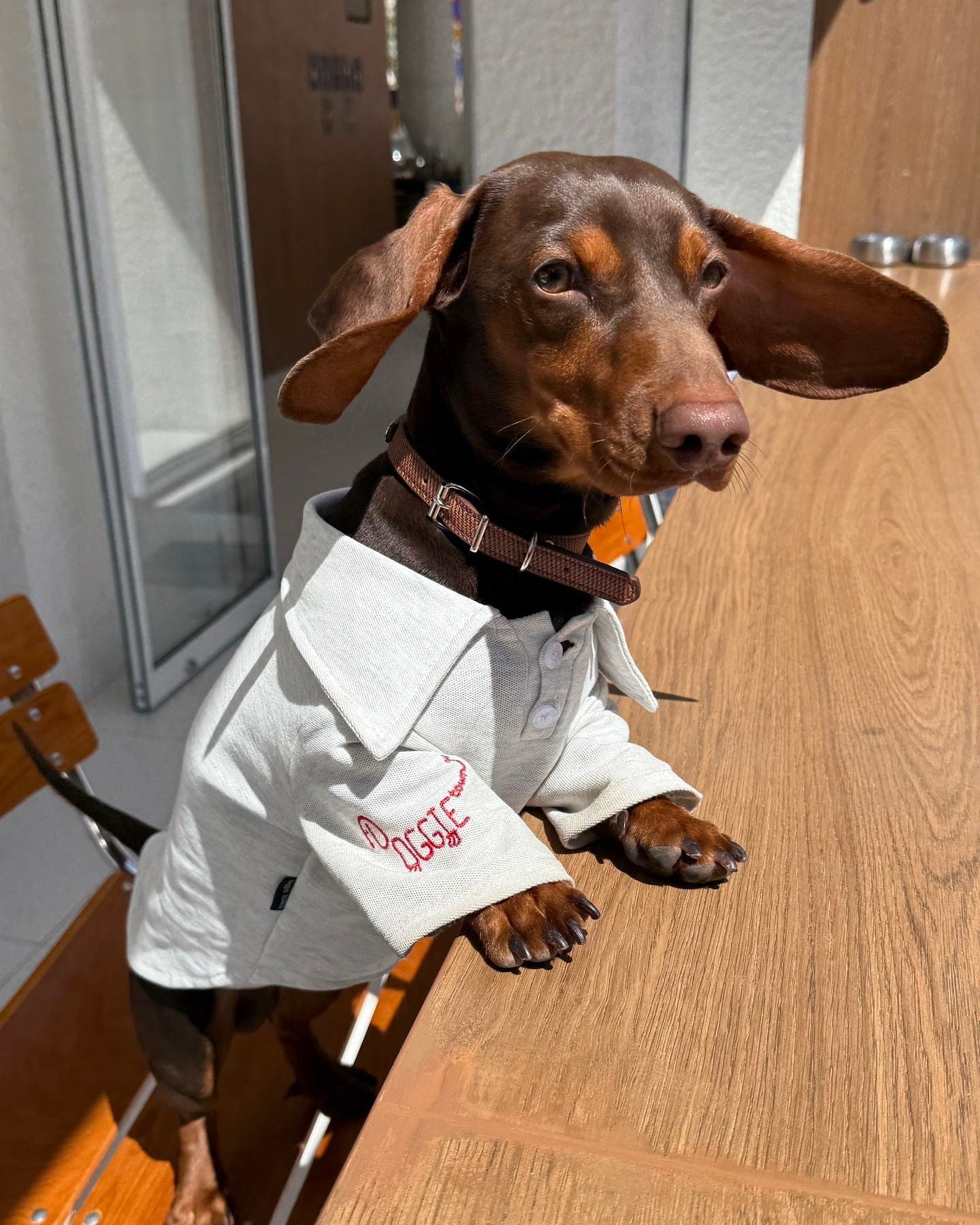 The Doggie Embroidered Collar Sweatshirt - Dapper Weenie Co