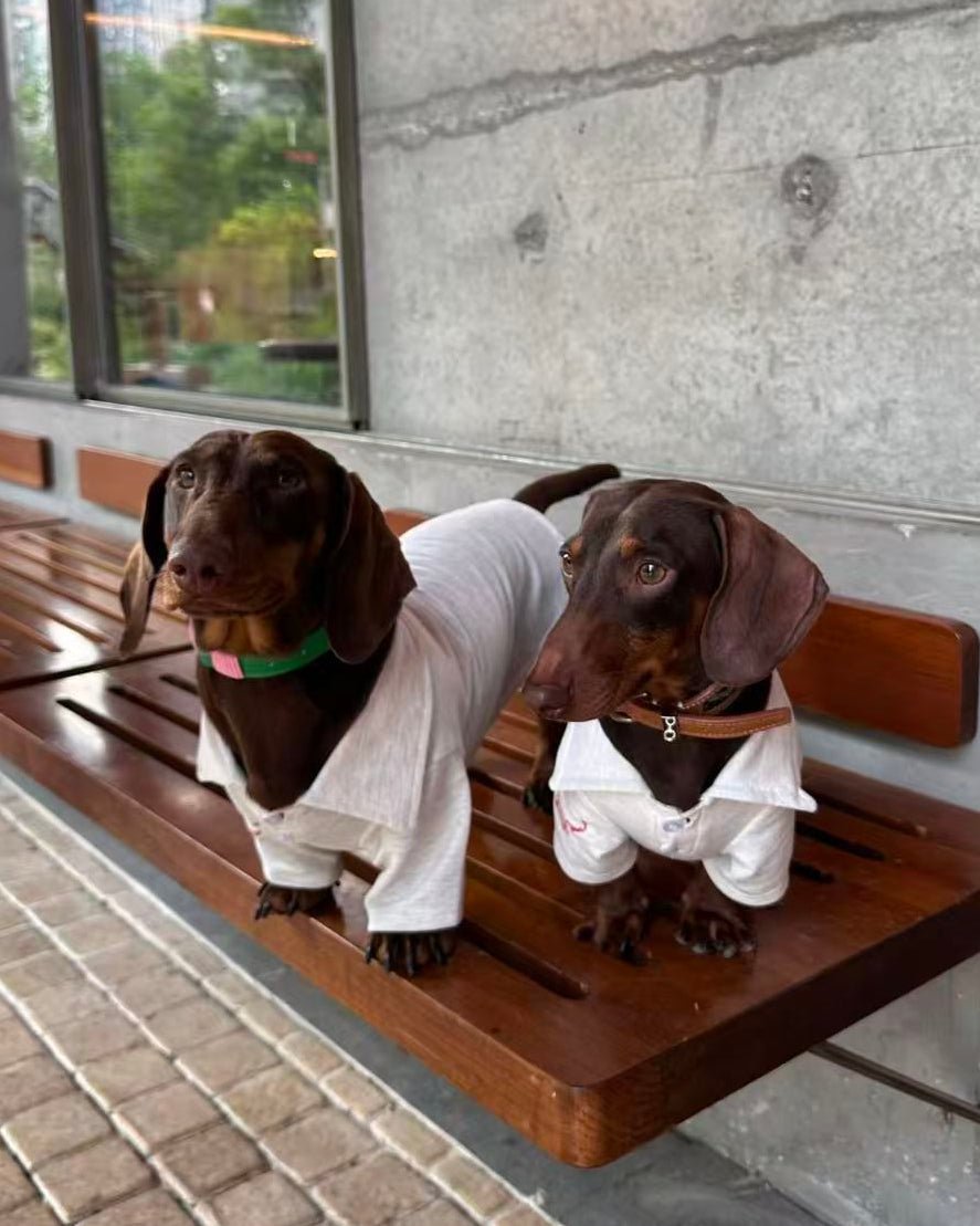 The Doggie Embroidered Collar Sweatshirt - Dapper Weenie Co