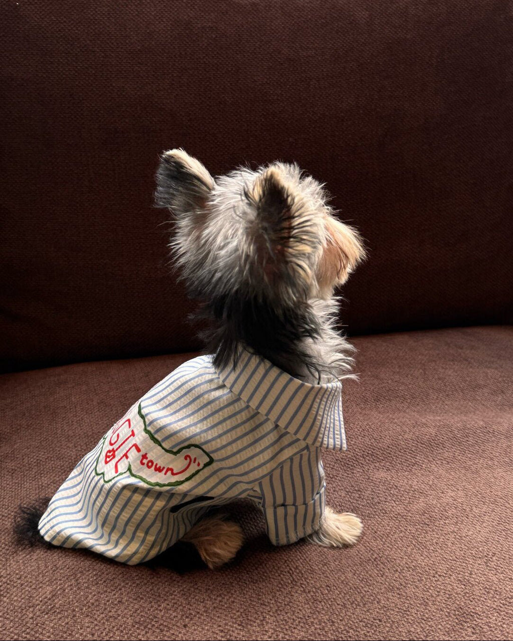 The Doggie Town Seersucker Striped Shirt - Dapper Weenie Co