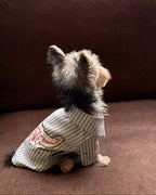 The Doggie Town Seersucker Striped Shirt - Dapper Weenie Co