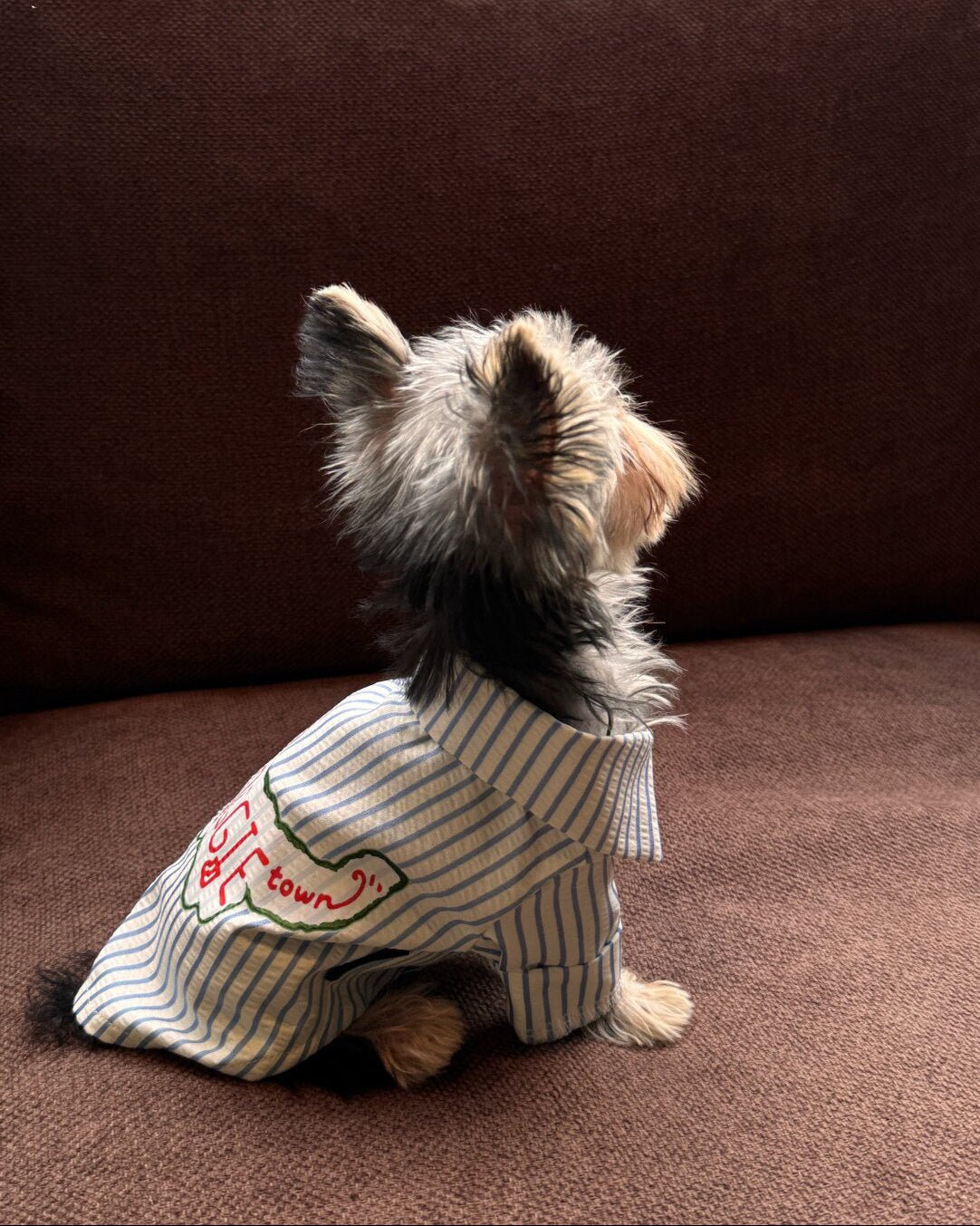 The Doggie Town Seersucker Striped Shirt - Dapper Weenie Co