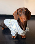 The Doggie Town Seersucker Striped Shirt - Dapper Weenie Co