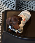 The Doggie Town Seersucker Striped Shirt - Dapper Weenie Co