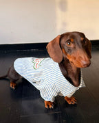 The Doggie Town Seersucker Striped Shirt - Dapper Weenie Co