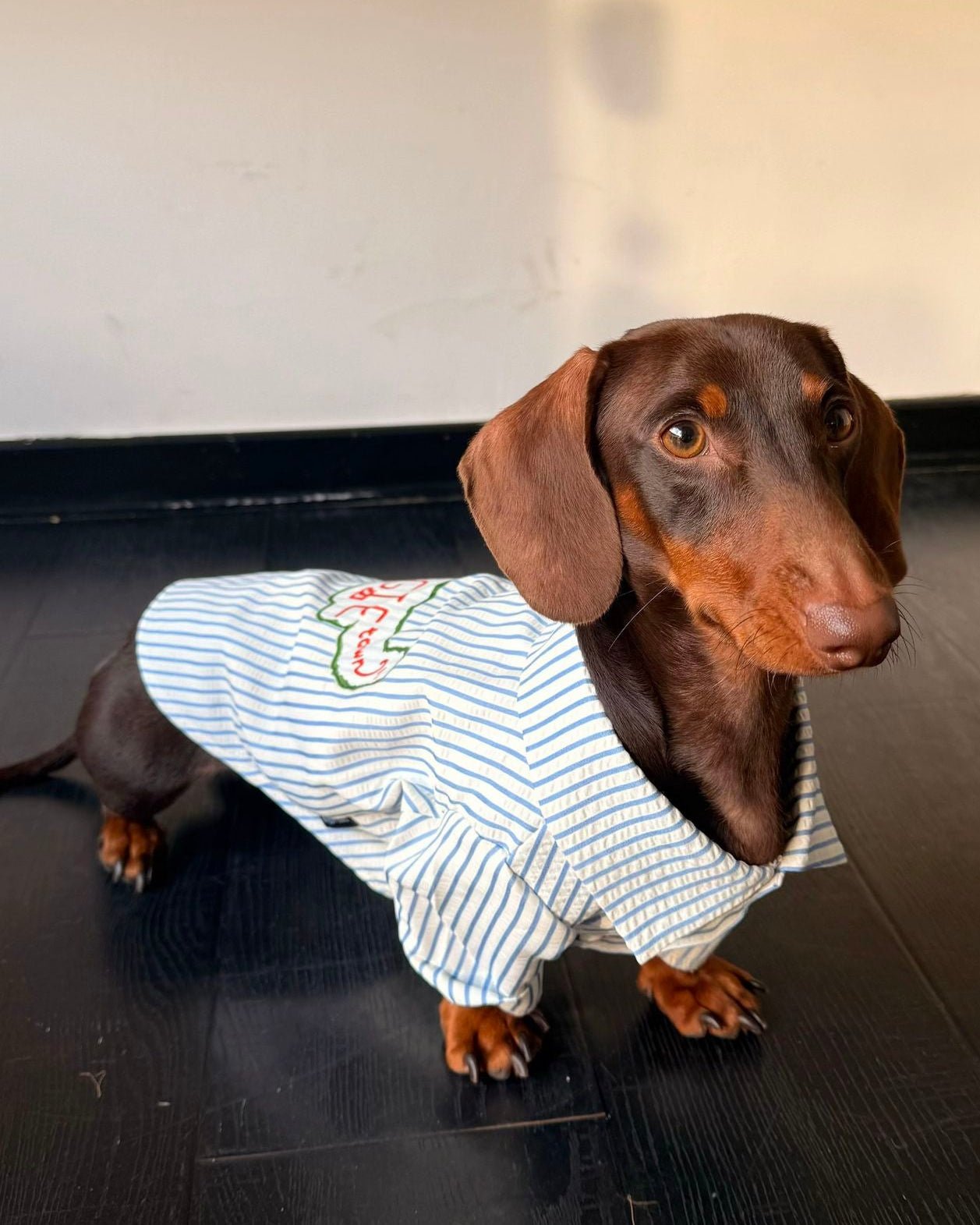 The Doggie Town Seersucker Striped Shirt - Dapper Weenie Co
