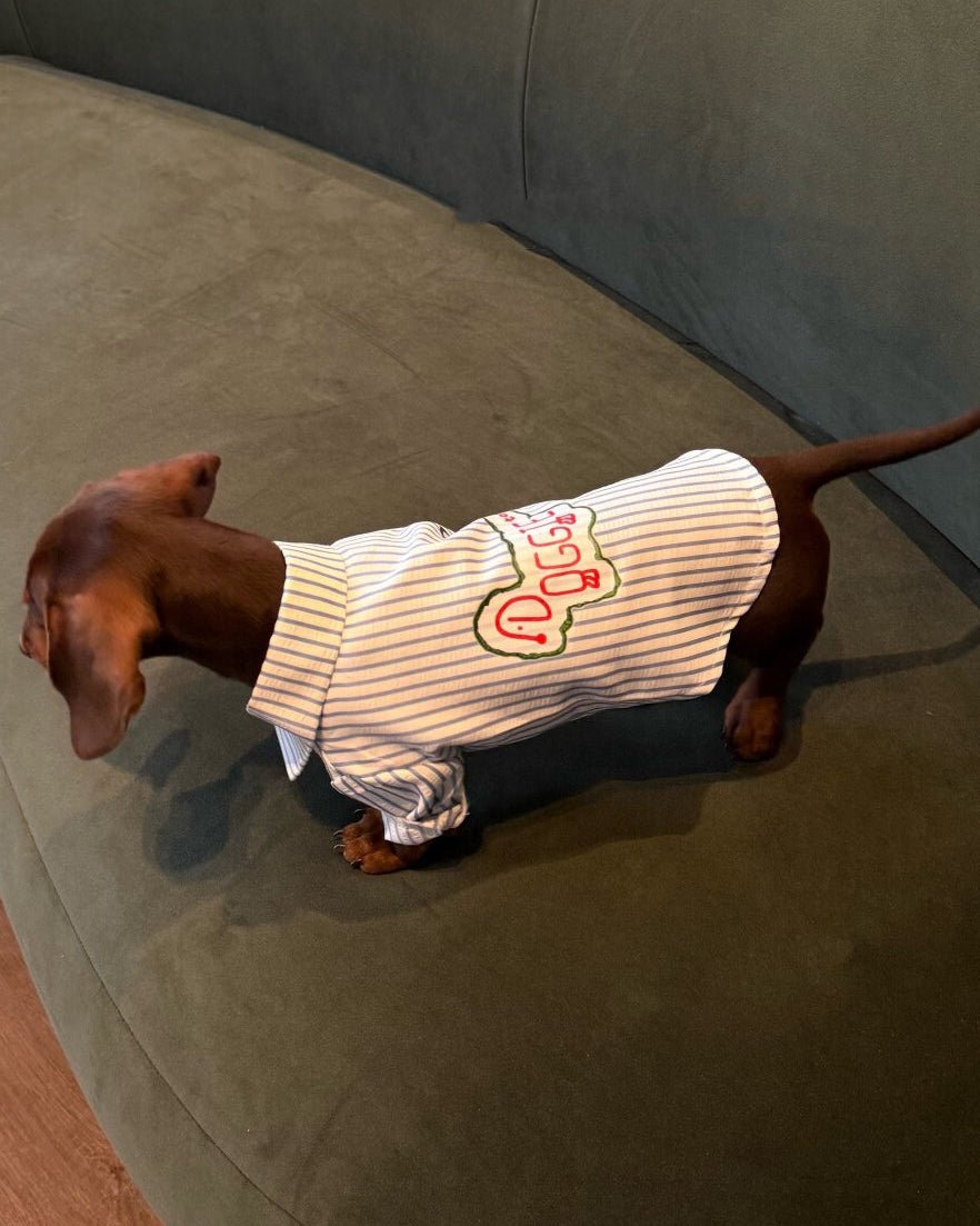 The Doggie Town Seersucker Striped Shirt - Dapper Weenie Co