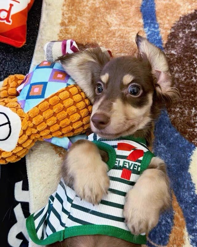The "ELEVEN" Convenience Store Pet Vest & Hat Set - Dapper Weenie Co
