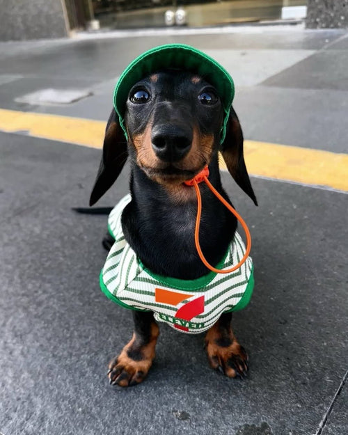 The "ELEVEN" Convenience Store Pet Vest & Hat Set - Dapper Weenie Co