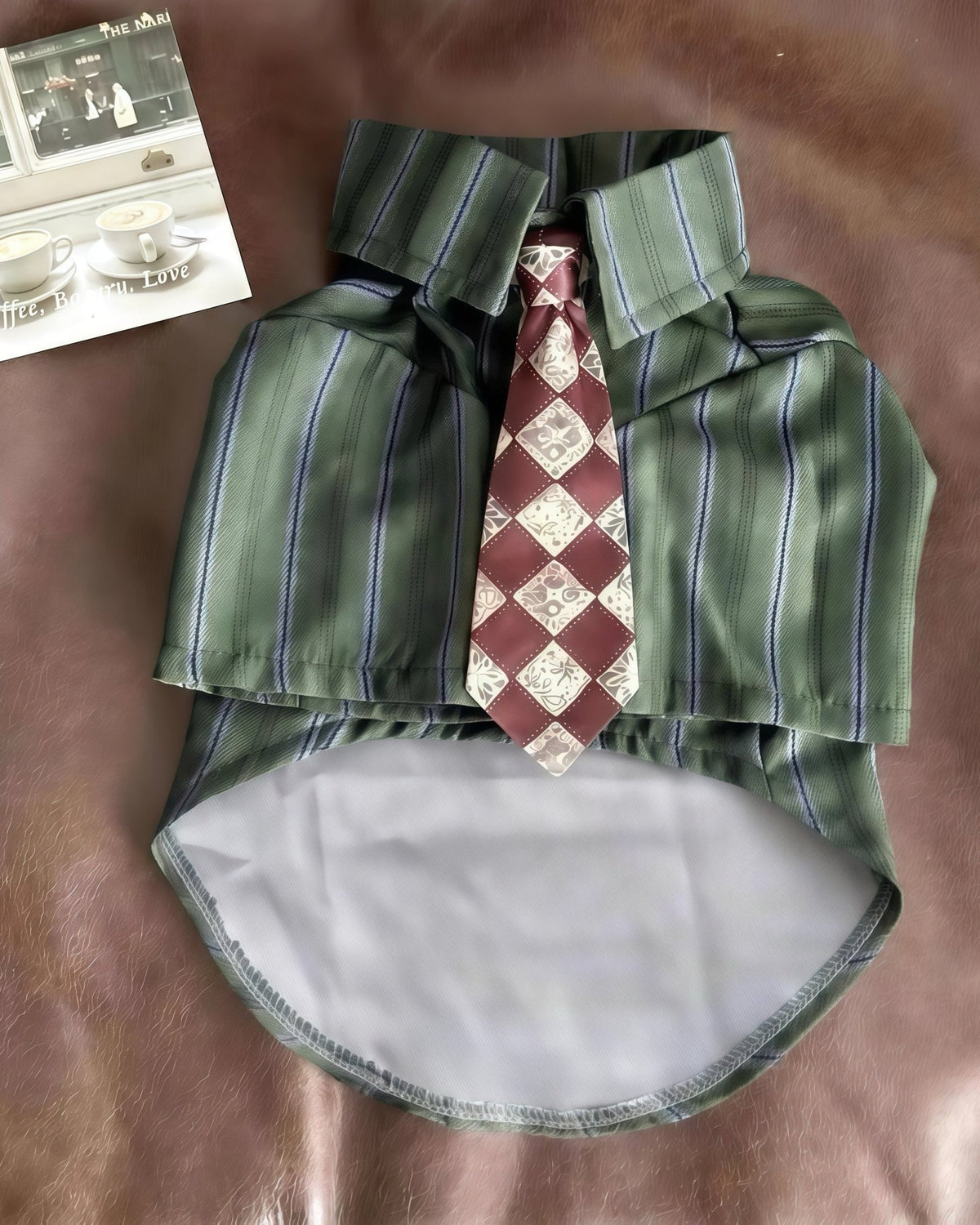 The Executive Prep Collared Shirt & Tie Set - Dapper Weenie Co