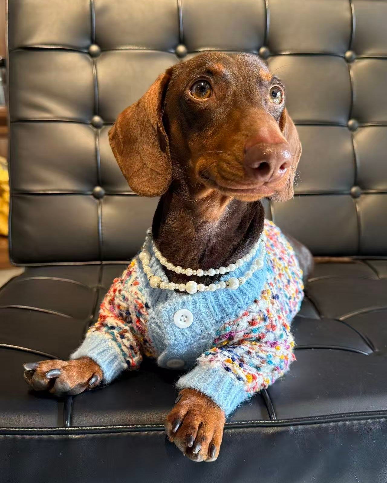 The Haute Tweed Cardigan | Pastel Confetti - Dapper Weenie Co