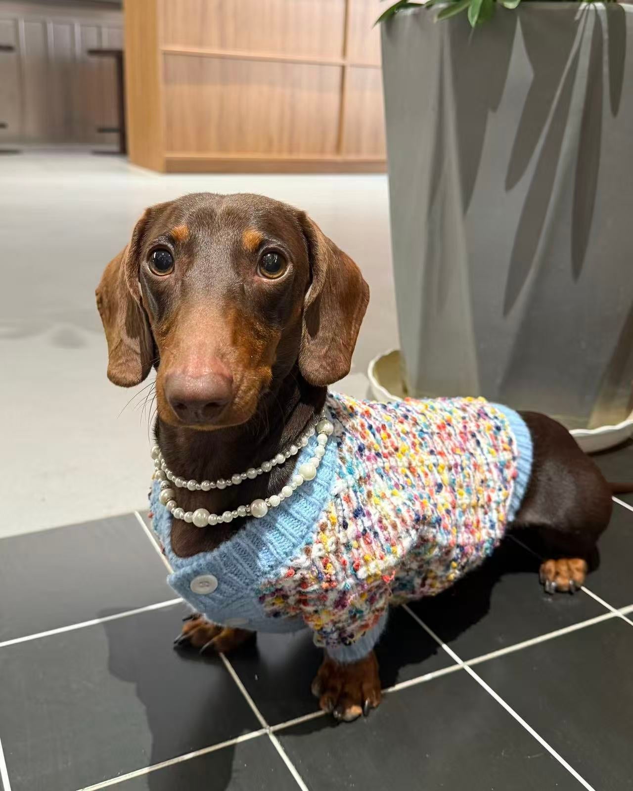 The Haute Tweed Cardigan | Pastel Confetti - Dapper Weenie Co