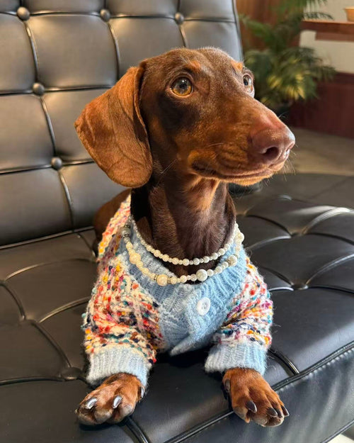 The Haute Tweed Cardigan | Pastel Confetti - Dapper Weenie Co
