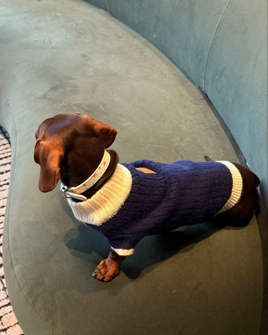 The Heritage Block Knit | Navy & Cream - Dapper Weenie Co