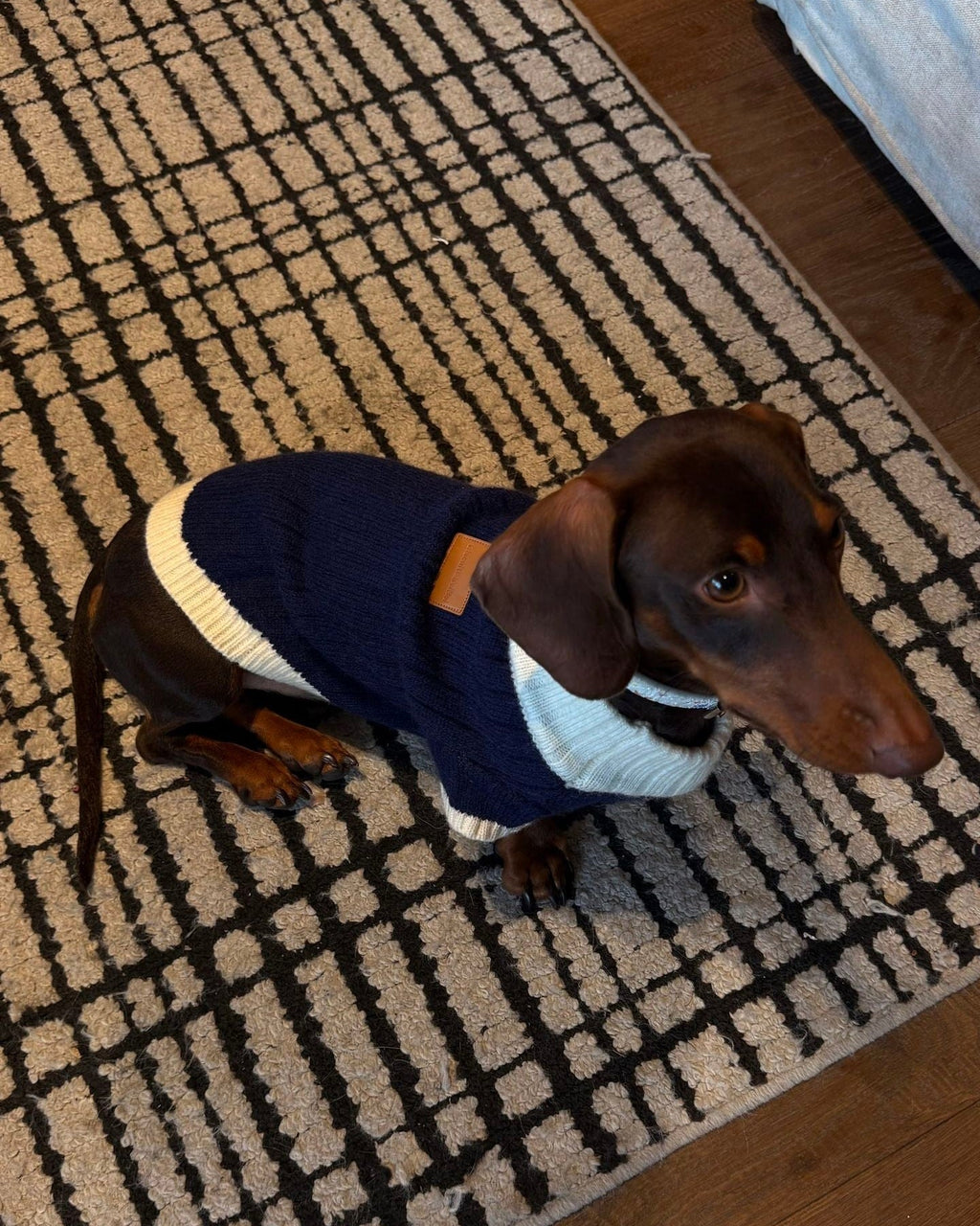 The Heritage Block Knit | Navy & Cream - Dapper Weenie Co