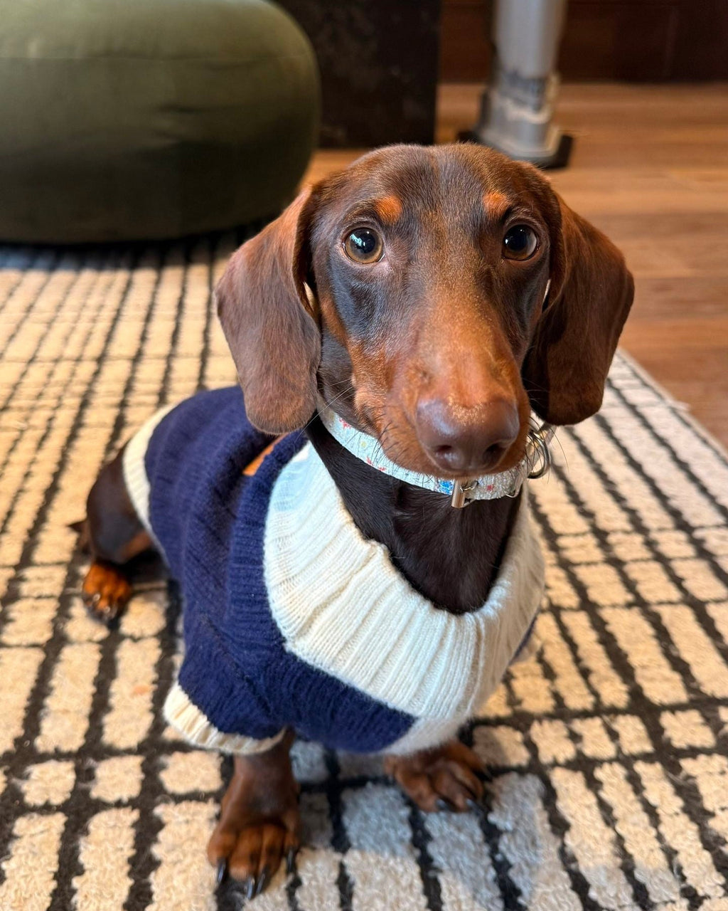 The Heritage Block Knit | Navy & Cream - Dapper Weenie Co