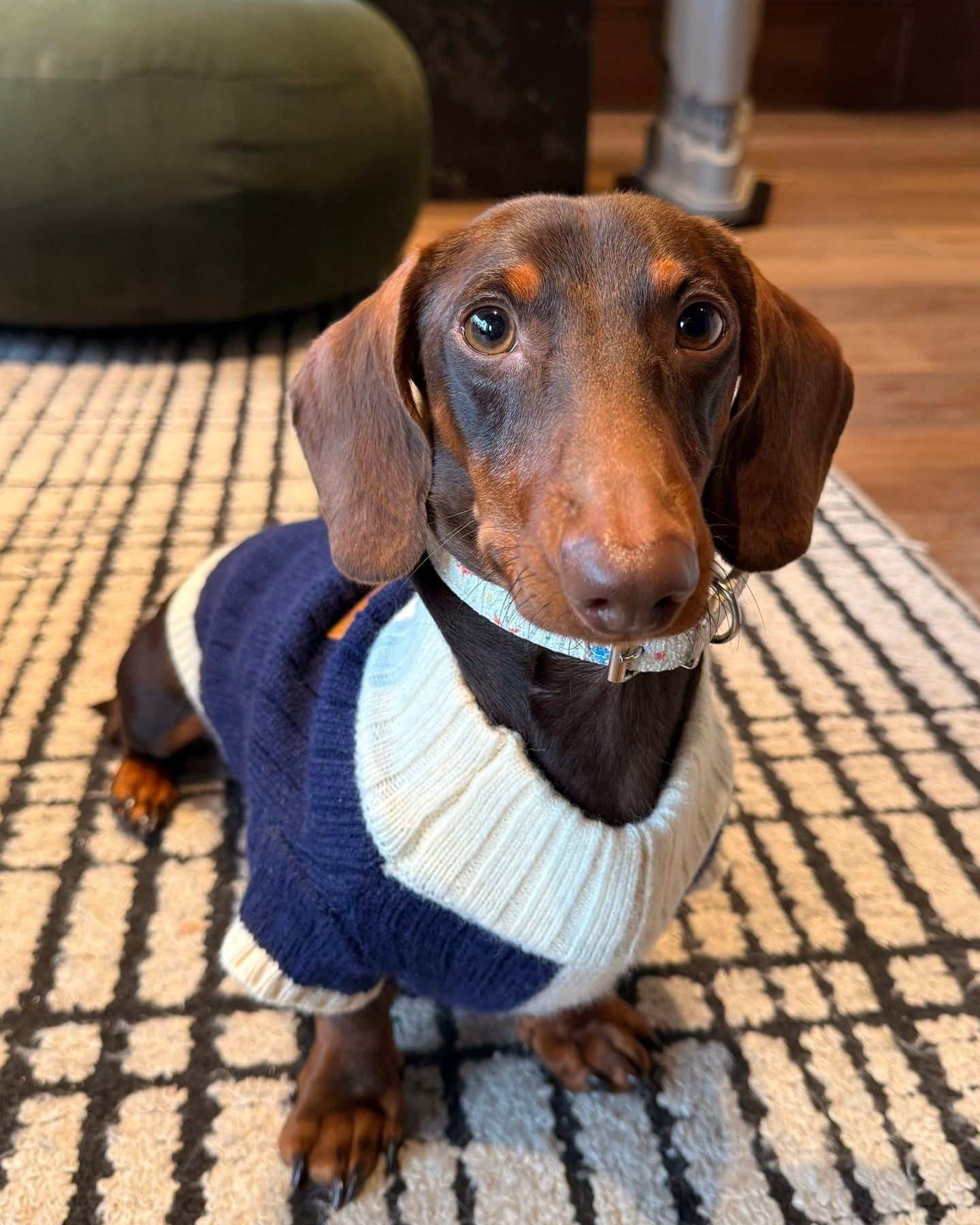The Heritage Block Knit | Navy & Cream - Dapper Weenie Co