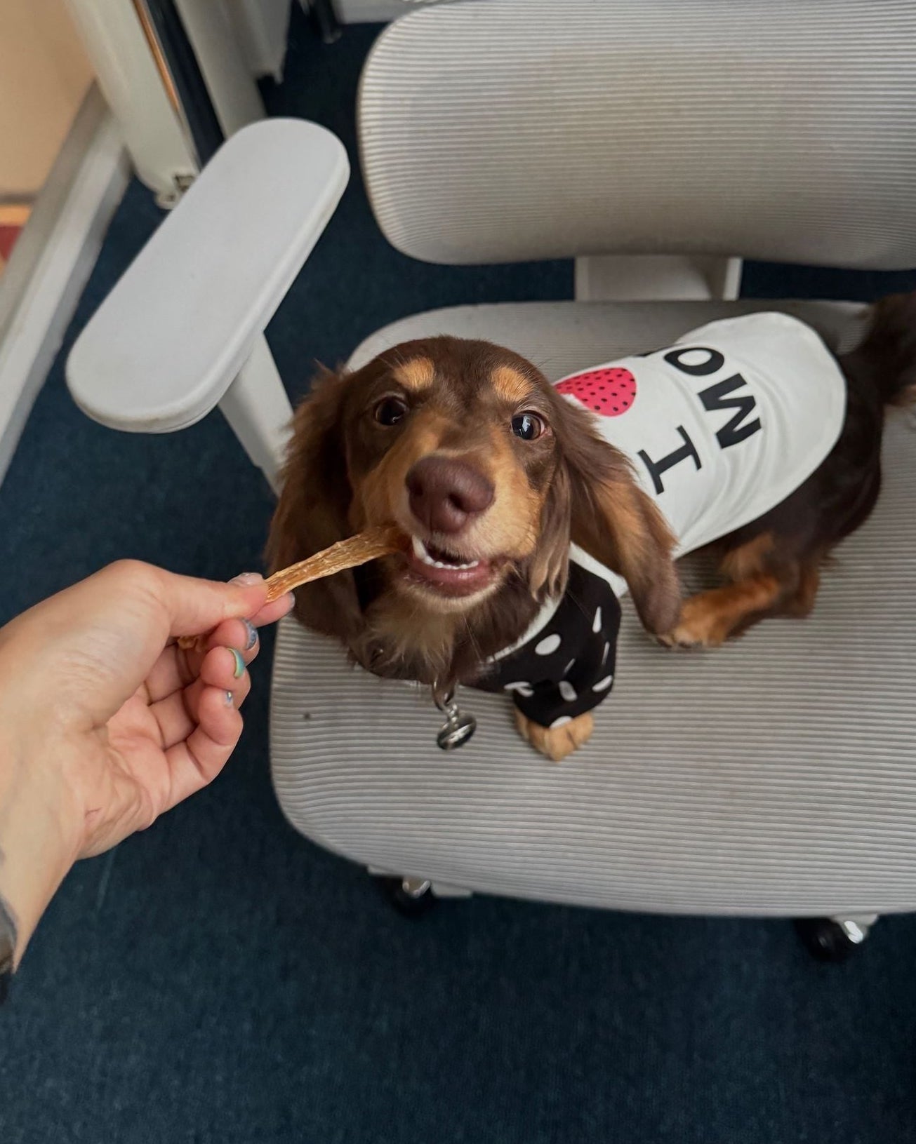 The "I Heart Mom" Retro Raglan Tee - Dapper Weenie Co