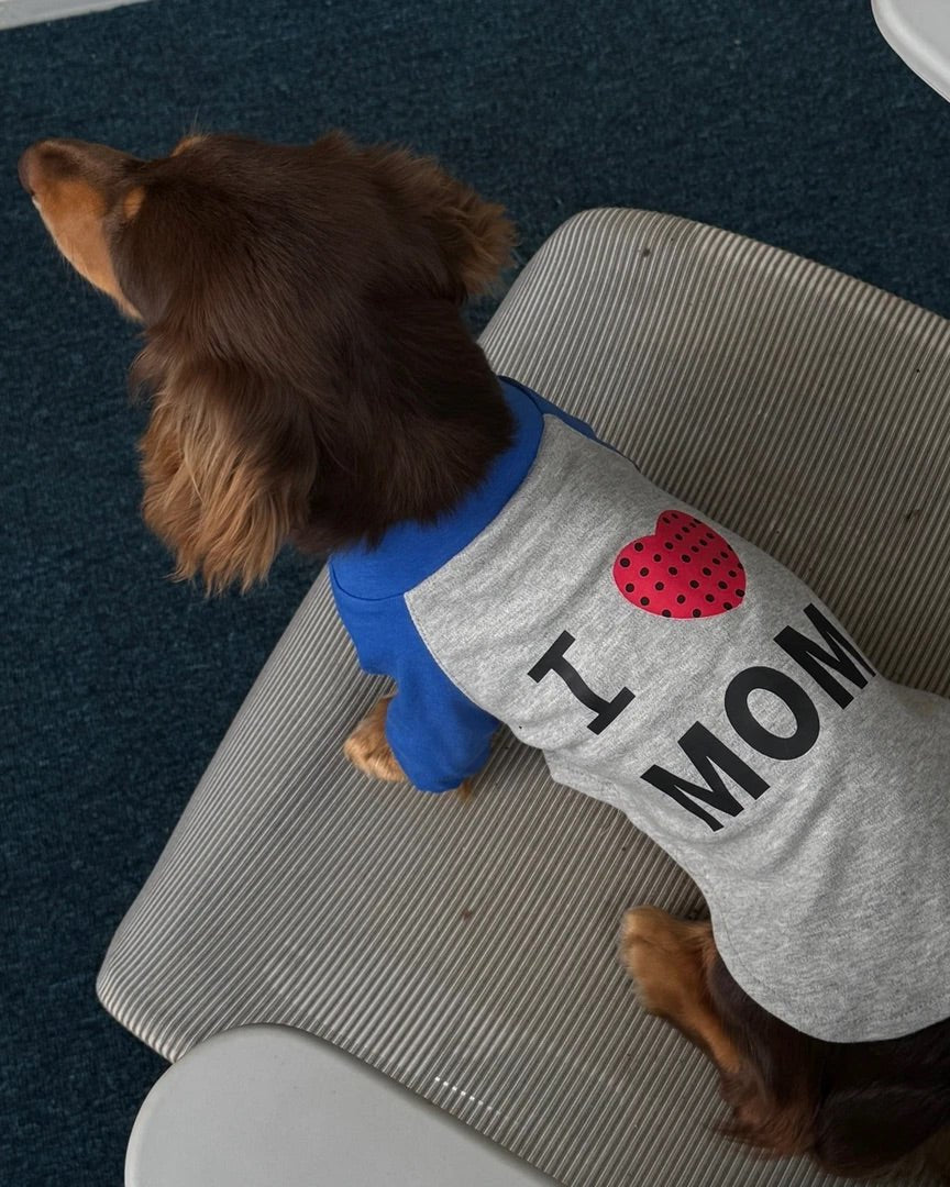 The "I Heart Mom" Retro Raglan Tee - Dapper Weenie Co