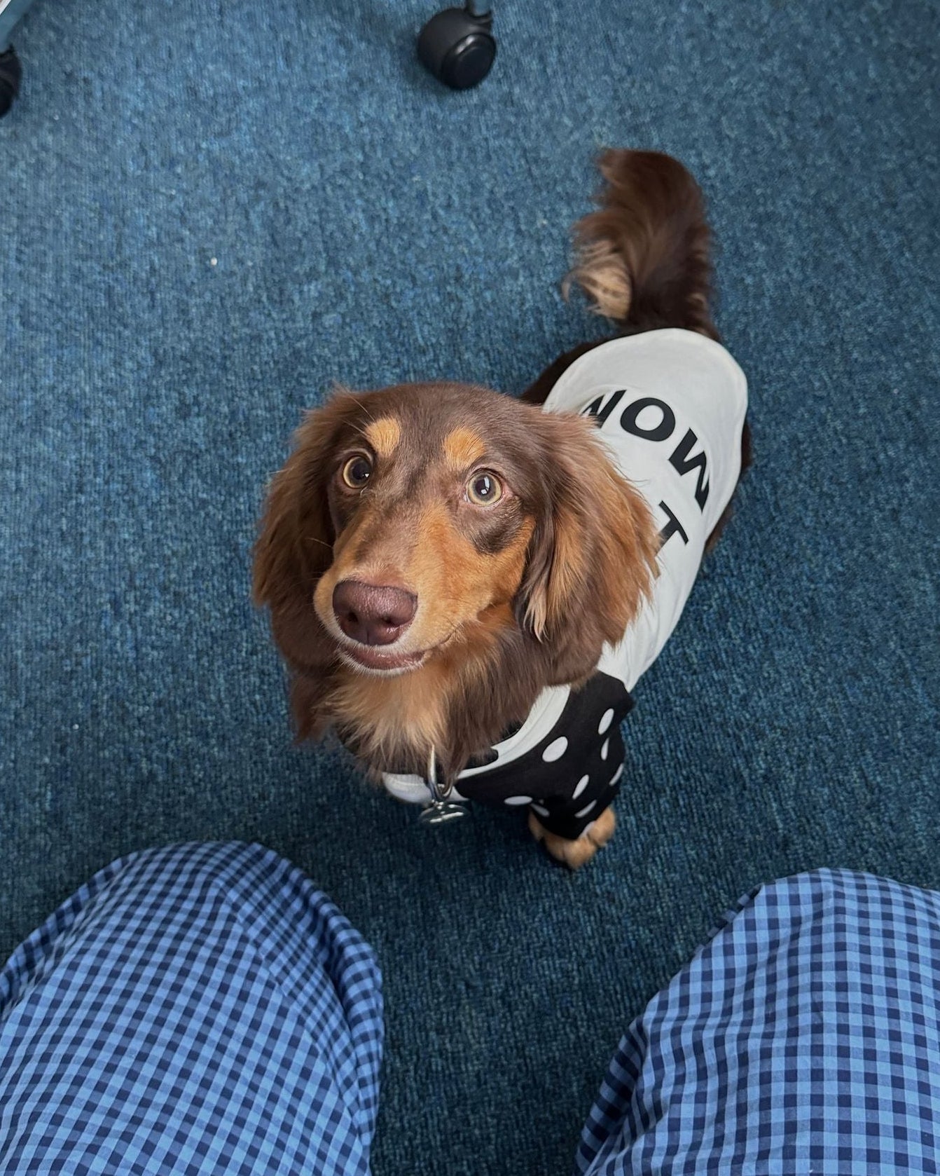 The "I Heart Mom" Retro Raglan Tee - Dapper Weenie Co