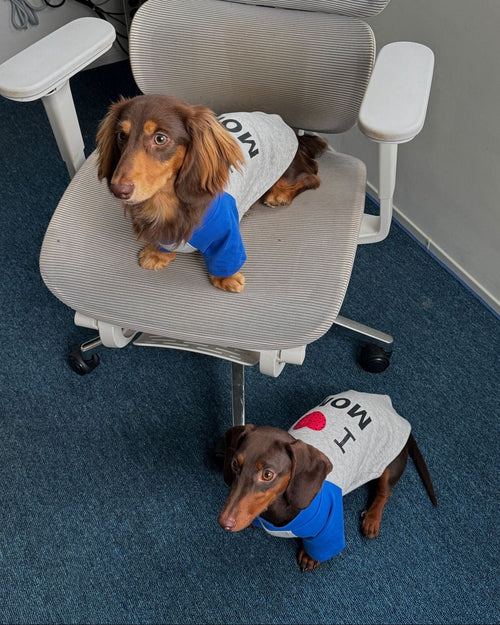The "I Heart Mom" Retro Raglan Tee - Dapper Weenie Co