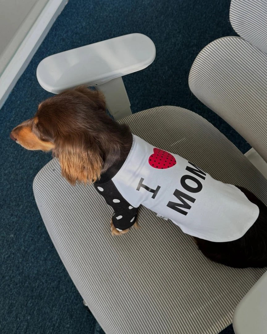 The "I Heart Mom" Retro Raglan Tee - Dapper Weenie Co
